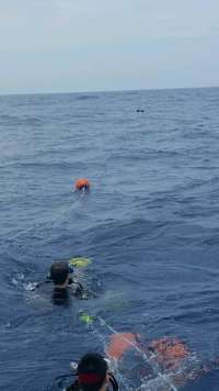 Great day of scuba diving in Key Largo with Rainbow Reef on spiegel grove tropical explorer 2017 06 10 r4327 2