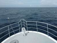 Great day of scuba diving in Key Largo with Rainbow Reef on spiegel grove tropical odyssey 2017 06 03 r4302 1