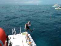 Great day of scuba diving in Key Largo with Rainbow Reef on spiegel grove tropical odyssey 2017 06 18 r4360 1