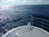 Great day of scuba diving in Key Largo with Rainbow Reef on spiegel grove tropical odyssey 2017 06 25 r4381 1