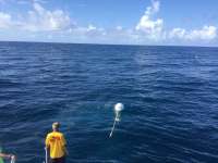 Great day of scuba diving in Key Largo with Rainbow Reef on spiegel grove tropical odyssey 2017 06 27 r4393 1