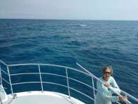 Great day of scuba diving in Key Largo with Rainbow Reef on woodys tropical odyssey 2017 06 09 r4320 1