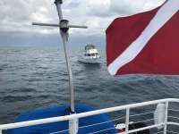 Great day of scuba diving in Key Largo with Rainbow Reef on benwood wreck tropical adventure 2017 03 12 r3951 1