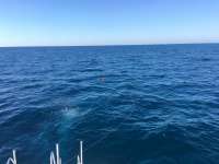 Great day of scuba diving in Key Largo with Rainbow Reef on benwood wreck tropical legend 2017 03 19 r3994 1