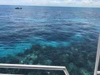 Great day of scuba diving in Key Largo with Rainbow Reef on christ statue tropical odyssey 2017 03 29 r4036 1