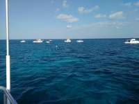 Great day of scuba diving in Key Largo with Rainbow Reef on christmastree cave tropical odyssey 2017 03 11 r3947 1