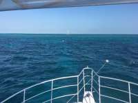 Great day of scuba diving in Key Largo with Rainbow Reef on eagle ray alley tropical legend 2017 03 03 r3925 1