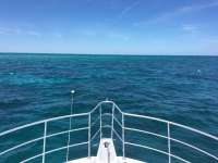 Great day of scuba diving in Key Largo with Rainbow Reef on eagle ray alley tropical odyssey 2017 03 15 r3967 1