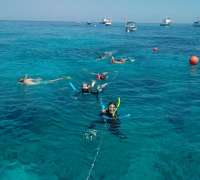 Great day of scuba diving in Key Largo with Rainbow Reef on french reef tropical legend 2017 03 22 r4014 1