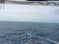 Great day of scuba diving in Key Largo with Rainbow Reef on french reef tropical odyssey 2017 03 14 r3964 1