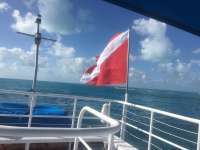 Great day of scuba diving in Key Largo with Rainbow Reef on molasses reef tropical adventure 2017 03 08 r3929 1