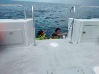Great day of scuba diving in Key Largo with Rainbow Reef on molasses reef tropical explorer 2017 03 28 r4034 1