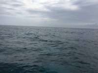 Great day of scuba diving in Key Largo with Rainbow Reef on molasses reef tropical legend 2017 03 02 r3923 1
