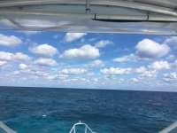 Great day of scuba diving in Key Largo with Rainbow Reef on molasses reef tropical legend 2017 03 17 r3981 1