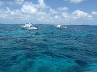 Great day of scuba diving in Key Largo with Rainbow Reef on molasses reef tropical odyssey 2017 03 27 r4030 1