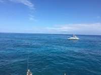 Great day of scuba diving in Key Largo with Rainbow Reef on molasses reef tropical voyager 2017 03 10 r3937 1