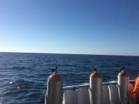 Great day of scuba diving in Key Largo with Rainbow Reef on molasses reef tropical voyager 2017 03 19 r3995 1