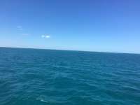 Great day of scuba diving in Key Largo with Rainbow Reef on molasses reef tropical voyager 2017 03 21 r4009 1