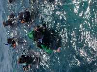 Great day of scuba diving in Key Largo with Rainbow Reef on north star tropical adventure 2017 03 17 r3980 1