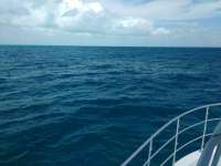 Great day of scuba diving in Key Largo with Rainbow Reef on pillar coral tropical legend 2017 03 25 r4024 1