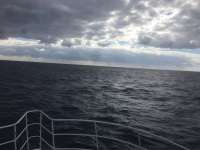Great day of scuba diving in Key Largo with Rainbow Reef on spiegel grove tropical odyssey 2017 03 18 r3986 1