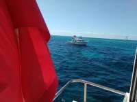 Great day of scuba diving in Key Largo with Rainbow Reef on spiegel grove tropical odyssey 2017 03 19 r3996 1