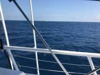 Great day of scuba diving in Key Largo with Rainbow Reef on uscgc duane tropical adventure 2017 03 03 r3926 1
