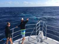 Great day of scuba diving in Key Largo with Rainbow Reef on uscgc duane tropical odyssey 2017 03 20 r3999 1