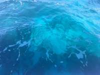 Great day of scuba diving in Key Largo with Rainbow Reef on benwood wreck tropical legend 2017 05 16 r4225 1