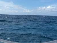 Great day of scuba diving in Key Largo with Rainbow Reef on benwood wreck tropical legend 2017 05 23 r4248 1