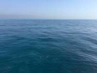 Great day of scuba diving in Key Largo with Rainbow Reef on benwood wreck tropical legend 2017 05 28 r4272 1