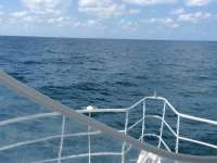 Great day of scuba diving in Key Largo with Rainbow Reef on benwood wreck tropical odyssey 2017 05 12 r4207 1