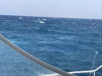 Great day of scuba diving in Key Largo with Rainbow Reef on benwood wreck tropical odyssey 2017 05 24 r4254 1