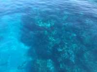 Great day of scuba diving in Key Largo with Rainbow Reef on christmastree cave tropical voyager 2017 05 28 r4273 1