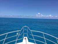 Great day of scuba diving in Key Largo with Rainbow Reef on city of washington tropical adventure 2017 05 04 r4169 2