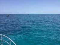Great day of scuba diving in Key Largo with Rainbow Reef on city of washington tropical legend 2017 05 29 r4284 1