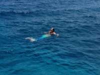 Great day of scuba diving in Key Largo with Rainbow Reef on drift molasses tropical odyssey 2017 05 26 r4264 1
