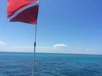 Great day of scuba diving in Key Largo with Rainbow Reef on elbow north tropical odyssey 2017 05 09 r4191 1
