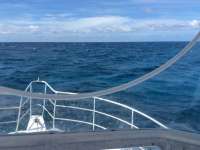 Great day of scuba diving in Key Largo with Rainbow Reef on french reef tropical legend 2017 05 23 r4250 1