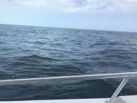 Great day of scuba diving in Key Largo with Rainbow Reef on hole in the wall tropical legend 2017 05 01 r4156 1