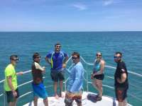 Great day of scuba diving in Key Largo with Rainbow Reef on hole in the wall tropical odyssey 2017 05 11 r4199 1