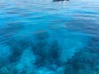 Great day of scuba diving in Key Largo with Rainbow Reef on molasses reef tropical adventure 2017 05 28 r4277 1