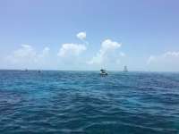 Great day of scuba diving in Key Largo with Rainbow Reef on molasses reef tropical explorer 2017 05 26 r4259 1
