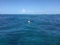 Great day of scuba diving in Key Largo with Rainbow Reef on molasses reef tropical legend 2017 05 02 r4157 1
