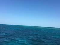 Great day of scuba diving in Key Largo with Rainbow Reef on molasses reef tropical legend 2017 05 06 r4177 1