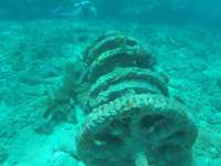 Great day of scuba diving in Key Largo with Rainbow Reef on molasses reef tropical legend 2017 05 22 r4243 1