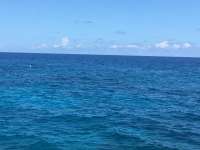 Great day of scuba diving in Key Largo with Rainbow Reef on molasses reef tropical odyssey 2017 05 04 r4170 1