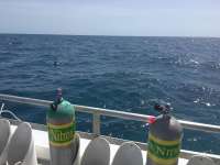 Great day of scuba diving in Key Largo with Rainbow Reef on molasses reef tropical odyssey 2017 05 30 r4286 1