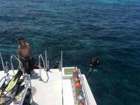 Great day of scuba diving in Key Largo with Rainbow Reef on north dry rocks tropical legend 2017 05 10 r4195 1