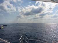 Great day of scuba diving in Key Largo with Rainbow Reef on permit ledges tropical legend 2017 05 10 r4193 1